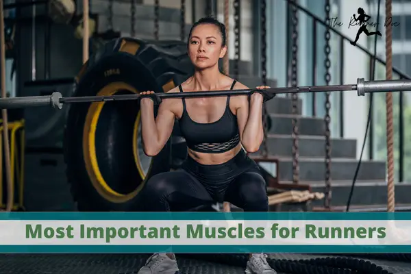 Most Important Muscles for Runners