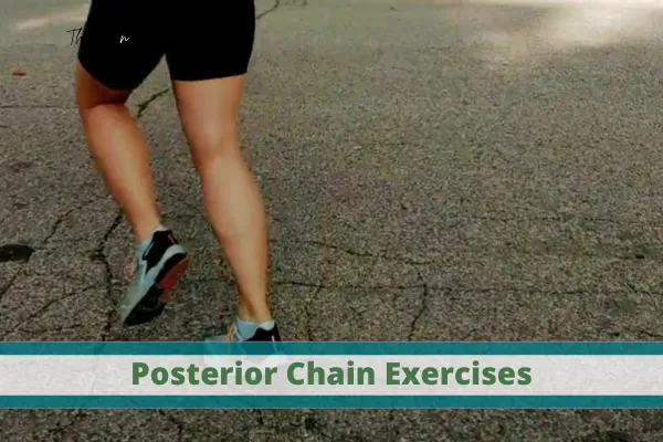 Strengthen Posterior Chain to Help You Become a Better Runner