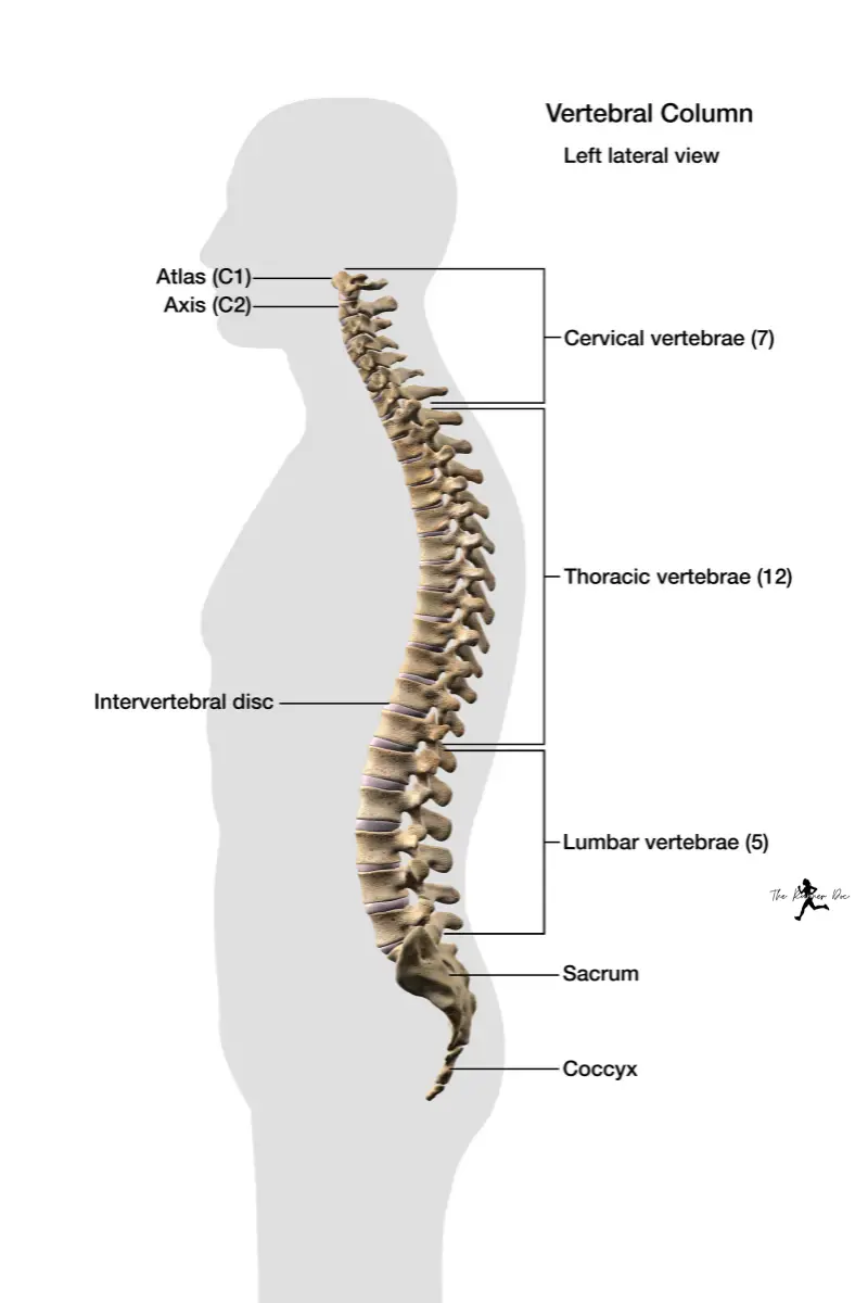 ending-the-pain-how-to-treat-lower-back-pain-from-running-the-runner-doc